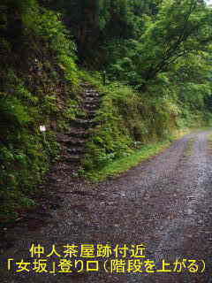 「仲人茶屋跡付近より女坂登り口、熊野古道・中辺路を歩く