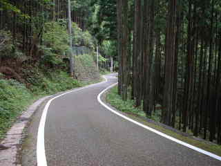 舗装道路3、熊野古道・中辺路を歩く
