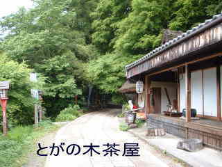 「とがの木茶屋」熊野古道・中辺路を歩く