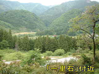 「一里石　付近」熊野古道・中辺路を歩く