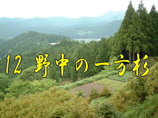 「野中」の風景、熊野古道・中辺路を歩く