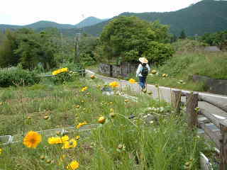 「近露へ」熊野古道・中辺路を歩く