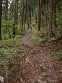 登り坂、熊野古道・中辺路を歩く