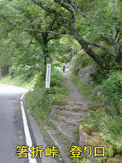 「箸折峠登り口」熊野古道・中辺路を歩く