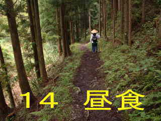 熊野古道・中辺路を歩く