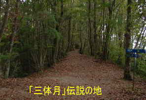 「三体月」伝説、熊野古道・中辺路を歩く