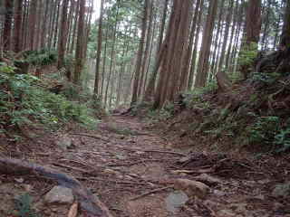 山道2、熊野古道・中辺路を歩く