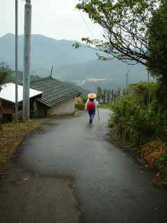 遠くの山が見える、熊野古道・中辺路を歩く