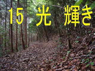 山道、熊野古道・中辺路を歩く