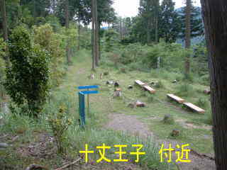 「十丈王子」付近、熊野古道・中辺路を歩く