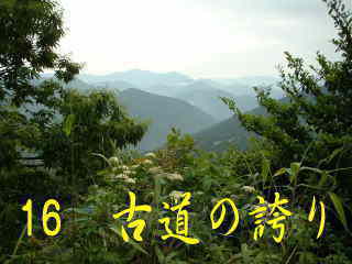 山々の眺め、熊野古道・中辺路を歩く