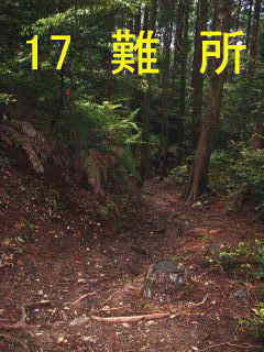 熊野古道・中辺路を歩く
