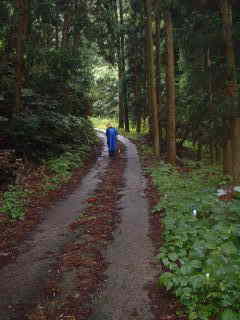 高畑山登り道、熊野古道・中辺路を歩く