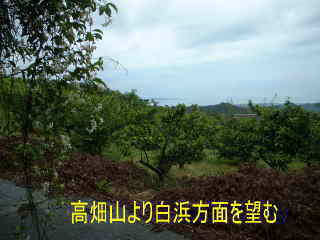高畑山より白浜方面を望む、熊野古道・中辺路を歩く