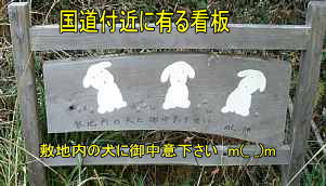 犬の看板、熊野古道「大辺路」を歩いた紀行文