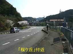 「桜ケ丘」付近、熊野古道「大辺路」を歩いた紀行文