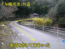 与根河池・付近2、熊野古道・大辺路を歩く