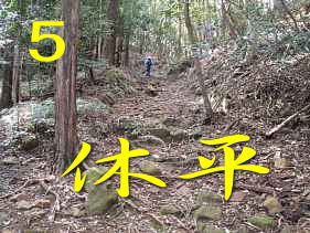「休平」への山道、熊野古道・大辺路を歩く