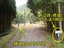 「向境」集落林道、熊野古道「大辺路」を歩いた紀行文
