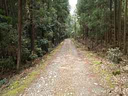 海蔵寺へ、熊野古道『大辺路」を歩いた紀行文