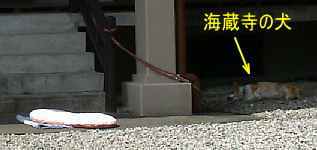 海蔵寺の犬、熊野古道『大辺路」を歩いた紀行文