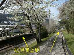 紀伊浦神駅、熊野古道・大辺路を歩く