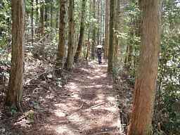 清水峠付近を下る、熊野古道『大辺路」を歩いた紀行文