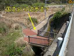 湿地帯の遊歩道、熊野古道『大辺路」を歩いた紀行文