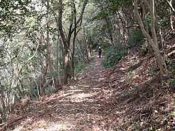 八郎山より、熊野古道「大辺路」を歩いた紀行文