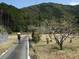 八郎山麓、熊野古道「大辺路」を歩いた紀行文