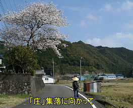 「庄」集落へ、熊野古道「大辺路」を歩いた紀行文