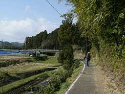 大泰寺へ、熊野古道「大辺路」を歩いた紀行文