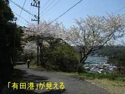 逢坂山・有田港が見える、熊野古道「大辺路」を歩いた紀行文