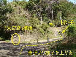 梯子を上がる、熊野古道「大辺路」を歩いた紀行文
