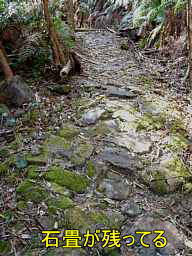 石畳の跡、熊野古道・大辺路を歩く