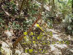 木枝注意、熊野古道「大辺路」を歩いた紀行文