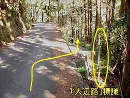 車道より、熊野古道「大辺路」を歩いた紀行文