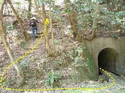 トンネルを潜って、熊野古道「大辺路」を歩いた紀行文