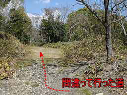 間違った道、熊野古道「大辺路」を歩いた紀行文