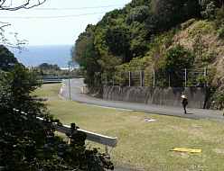 海が見える、熊野古道「大辺路」を歩いた紀行文