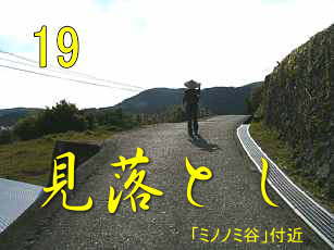 「ミノノミ谷」付近、熊野古道・大辺路を歩く