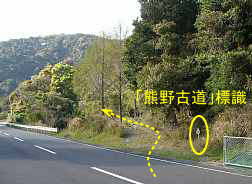 脇道へ、熊野古道「大辺路」を歩いた紀行文