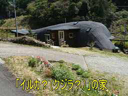 イルカの家、熊野古道・大辺路を歩く