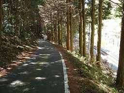 タオ峠・車道、熊野古道「大辺路」を歩いた紀行文
