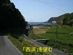 西浜を望む、熊野古道　大辺路を歩く