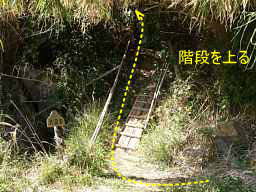 大串峠へ・梯子を上る、熊野古道「大辺路」を歩いた紀行文