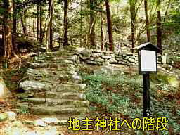 地主神社・階段、熊野古道・大辺路を歩く