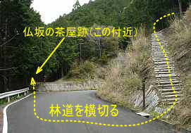 仏坂・茶屋跡付近、熊野古道「大辺路」を歩いた紀行文