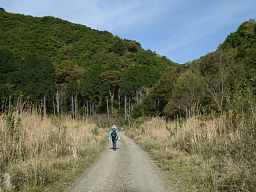三ケ川付近、熊野古道「大辺路」を歩いた紀行文