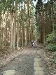 三ケ川付近2、熊野古道「大辺路」を歩いた紀行文